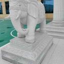 石家庄 白麻花岗岩动物异形石雕-大象