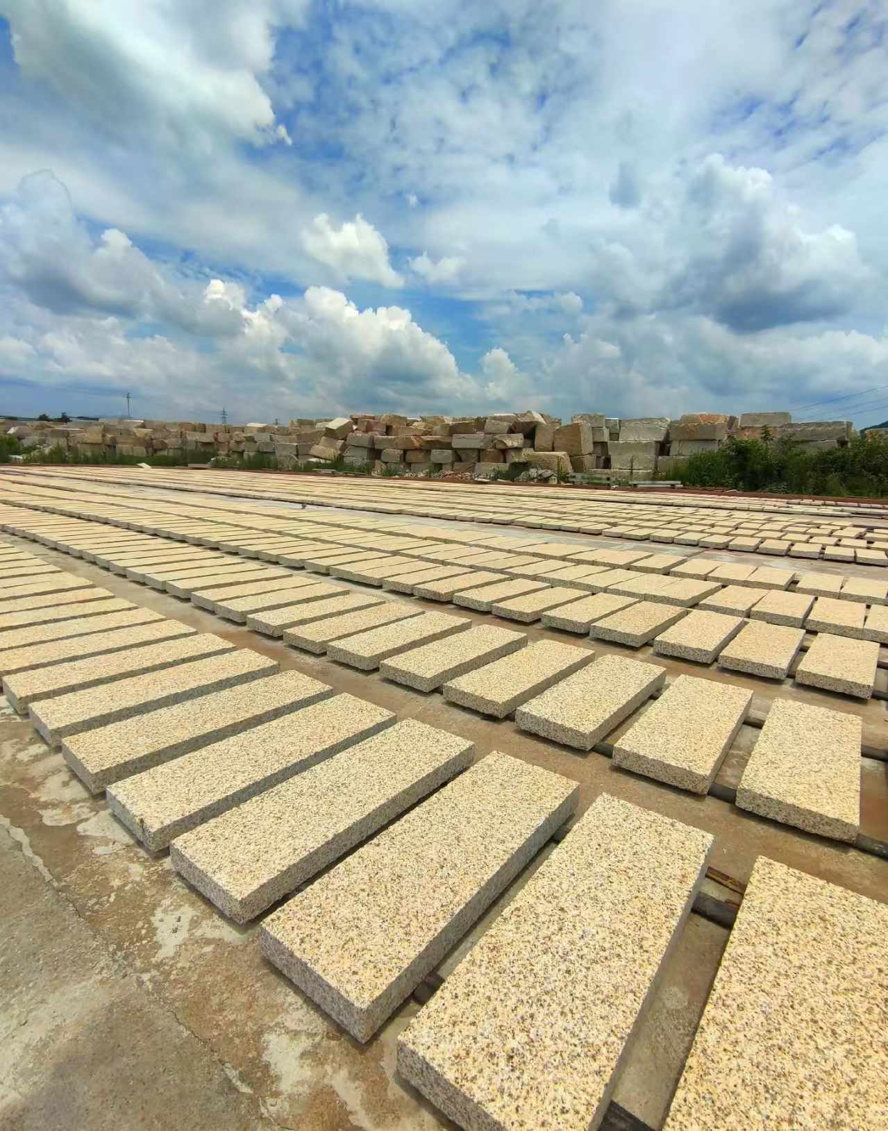 石家庄 黄金麻荔枝面花岗岩石材地铺石防护中